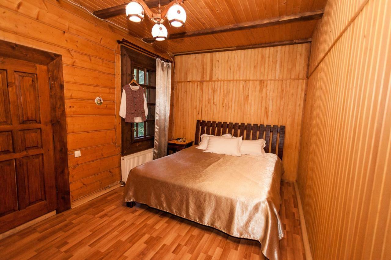 Альпина Hotel Jaremtsje Buitenkant foto