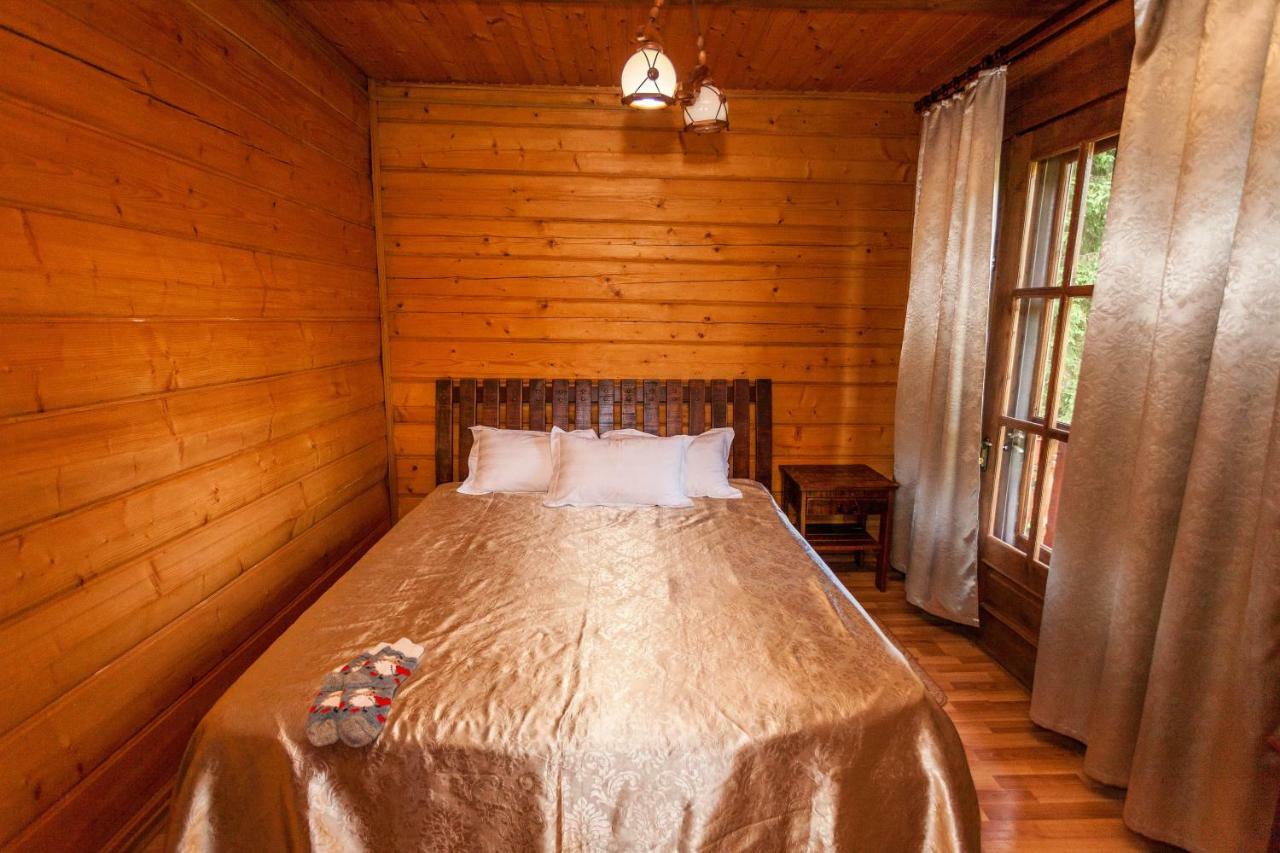 Альпина Hotel Jaremtsje Buitenkant foto
